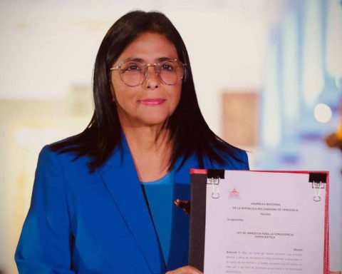 The Amnesty and Coexistence Law favors political pluralism