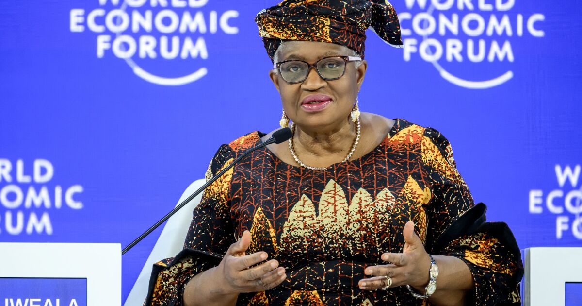 The WTO needs urgent reform, warns its director