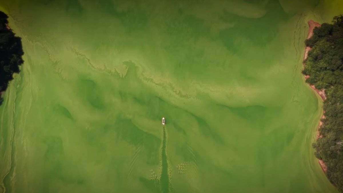 The alarming findings of scientific studies carried out in the waters of the Hatillo dam