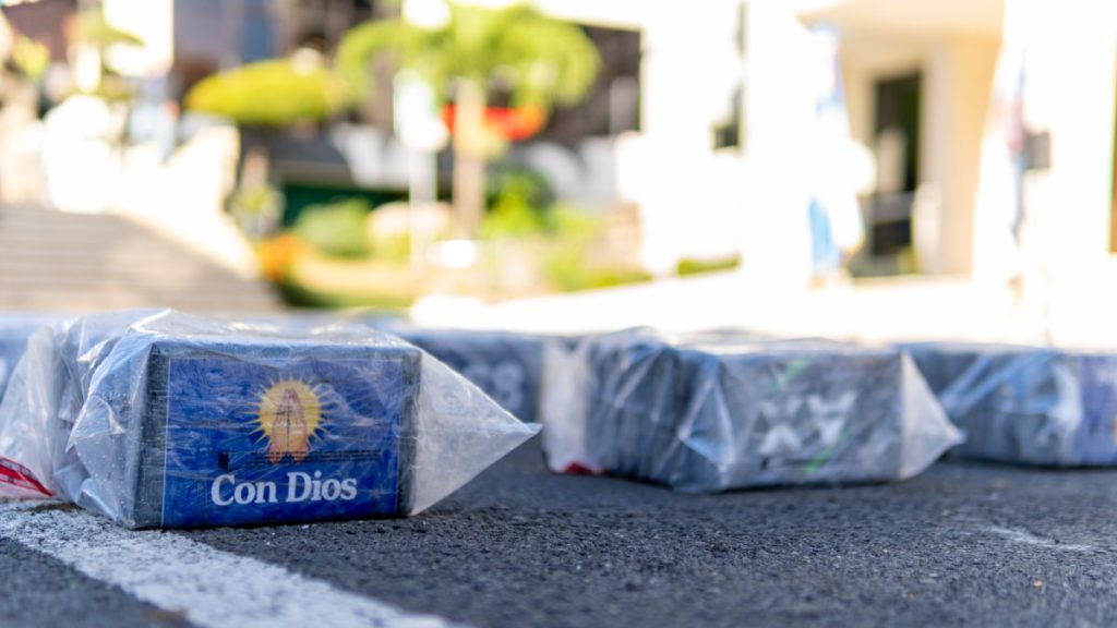 The largest drug seizure in the Dominican Republic: figures, routes and what's next in the investigation