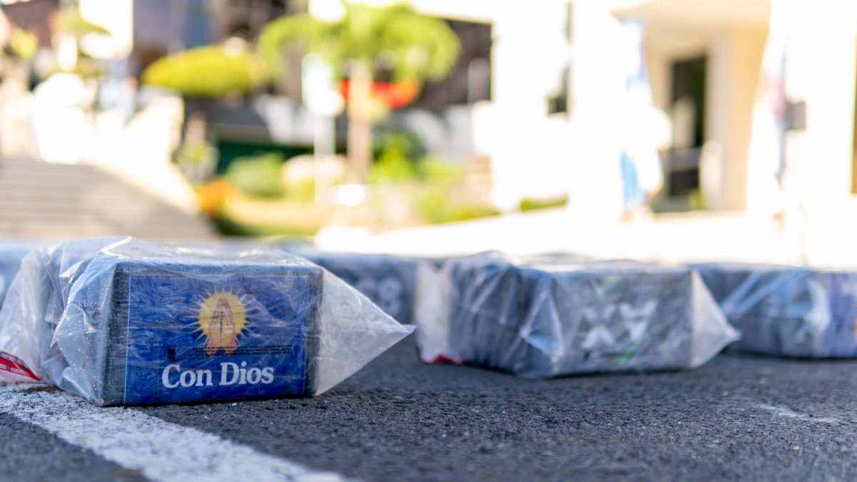The largest drug seizure in the Dominican Republic: figures, routes and what's next in the investigation