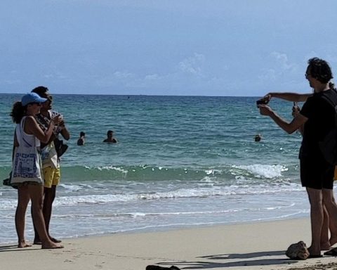 The number of tourists falls in January, but more Canadians, Argentines and Chinese arrive