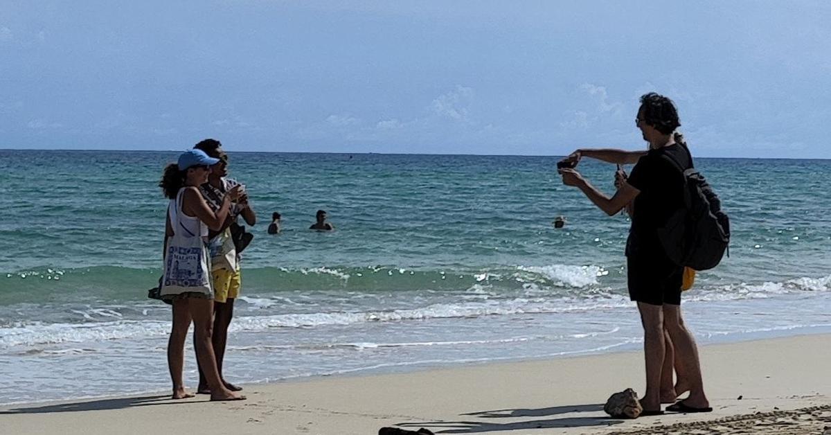 The number of tourists falls in January, but more Canadians, Argentines and Chinese arrive