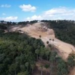They denounce indiscriminate logging in Loma del Santo Cerro; They say it is for real estate projects