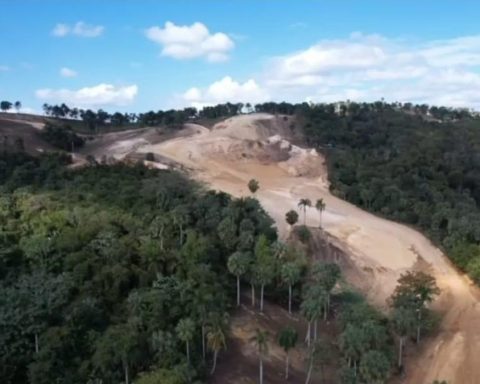 They denounce indiscriminate logging in Loma del Santo Cerro; They say it is for real estate projects