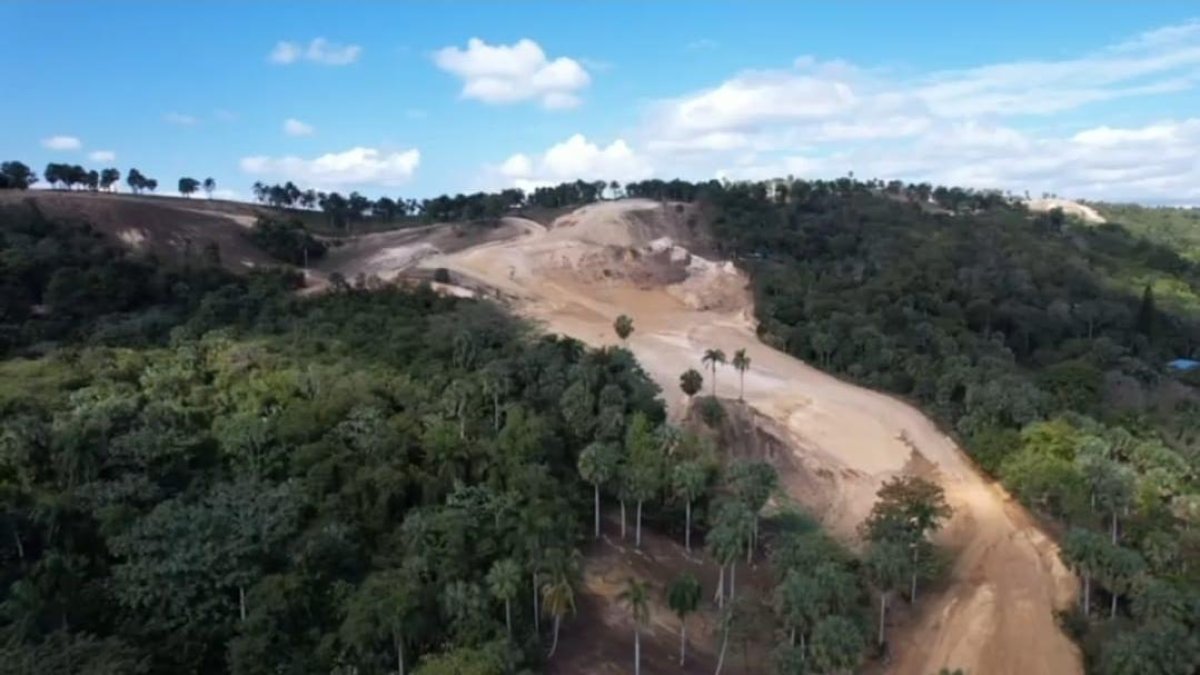 They denounce indiscriminate logging in Loma del Santo Cerro; They say it is for real estate projects