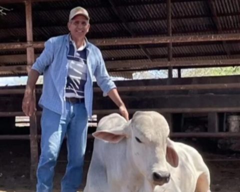 They murdered an agricultural producer after kidnapping in Guárico