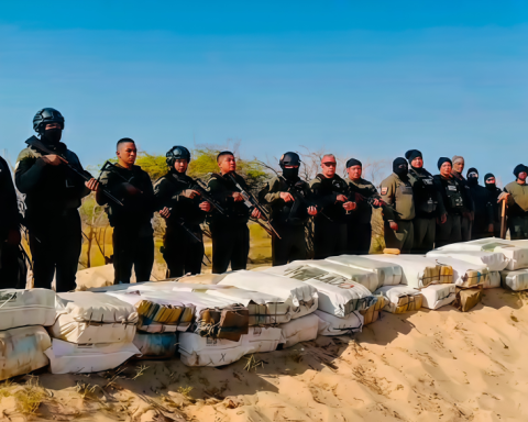 They unearthed 5,729 panels of marijuana