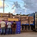 Three subjects arrested for illegal felling of trees in Cojedes