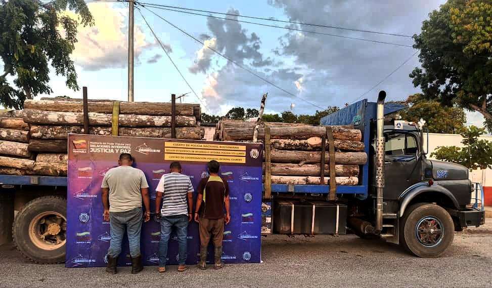 Three subjects arrested for illegal felling of trees in Cojedes