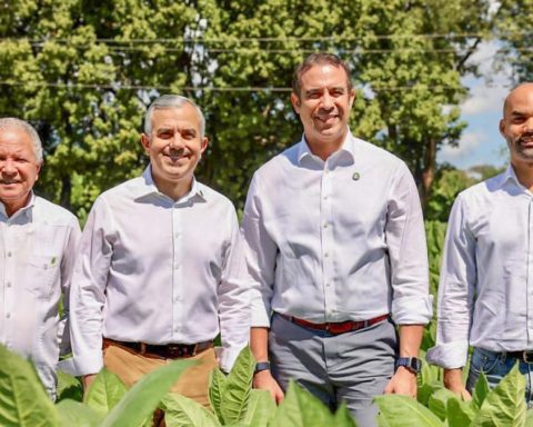 Tobacco exports in the DR exceed 1,000 million in 2025, according to INTABACO