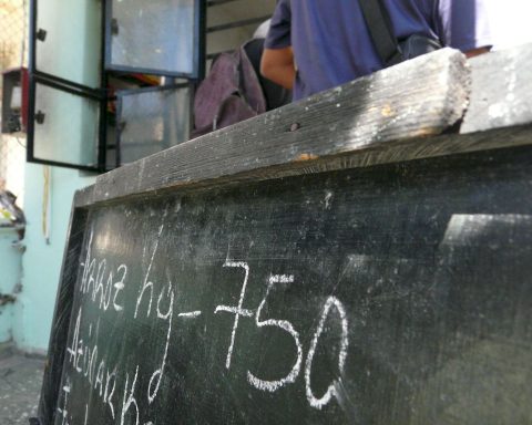 When everything seems impossible, authorities insist: Cuba will plant 200 thousand hectares of rice this year