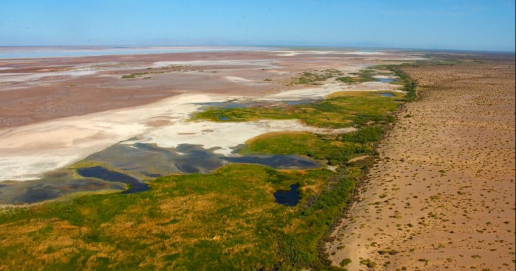 When water unites: the diplomacy between the US and Mexico that is reviving the Colorado River