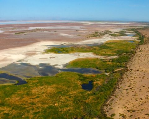 When water unites: the diplomacy between the US and Mexico that is reviving the Colorado River