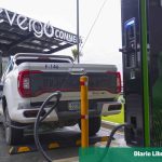 Which brands are the most imported electric vehicles?