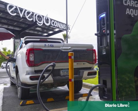 Which brands are the most imported electric vehicles?