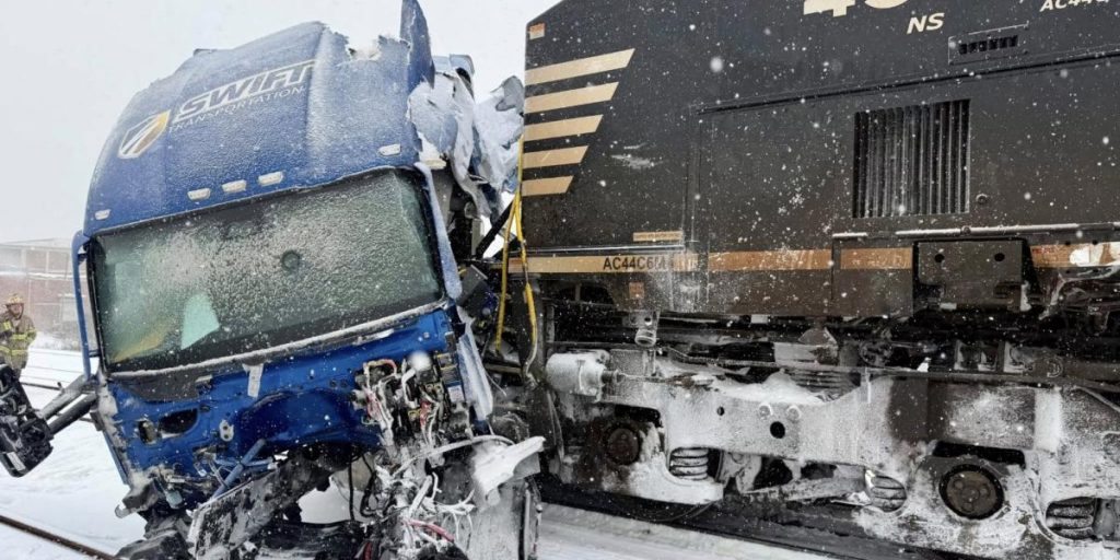 Winter storm in the US disrupts transportation and causes iguanas to fall from trees