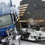 Winter storm in the US disrupts transportation and causes iguanas to fall from trees