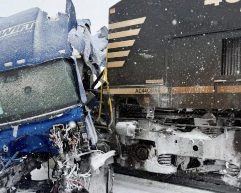 Winter storm in the US disrupts transportation and causes iguanas to fall from trees