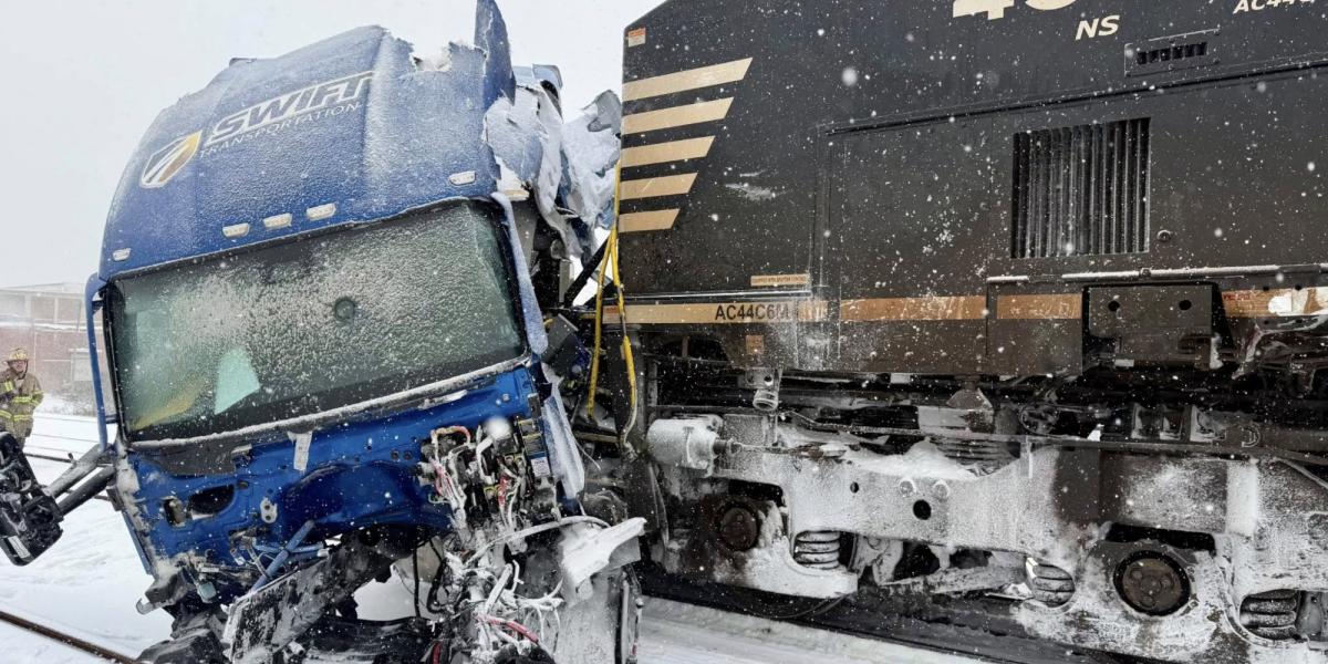 Winter storm in the US disrupts transportation and causes iguanas to fall from trees