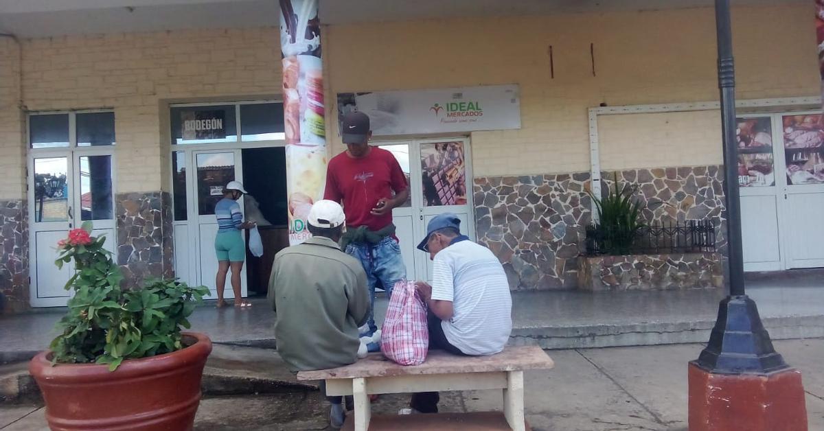 With empty markets, retirees are left without selling wild pigs to survive