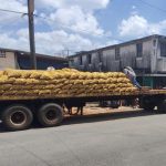Without fuel, trucks cannot remove the goods that are accumulating in the port of Mariel