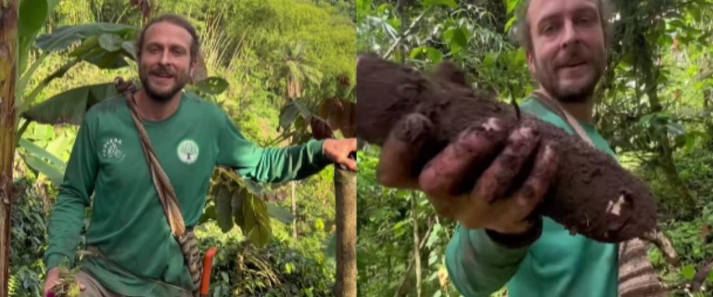 Alemán en Colombia (1)