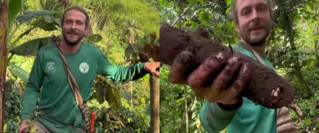 Alemán en Colombia (1)