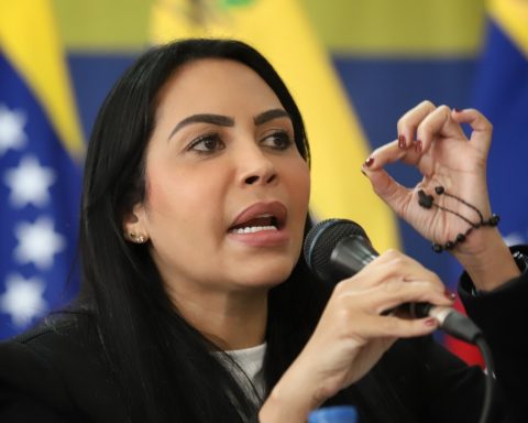 "It is potentially dangerous": Delsa Solórzano warns about limitations and risks of the amnesty bill