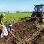 Brazil will send food and inputs for agricultural production to Cuba