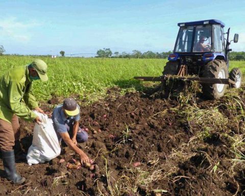 Brazil will send food and inputs for agricultural production to Cuba