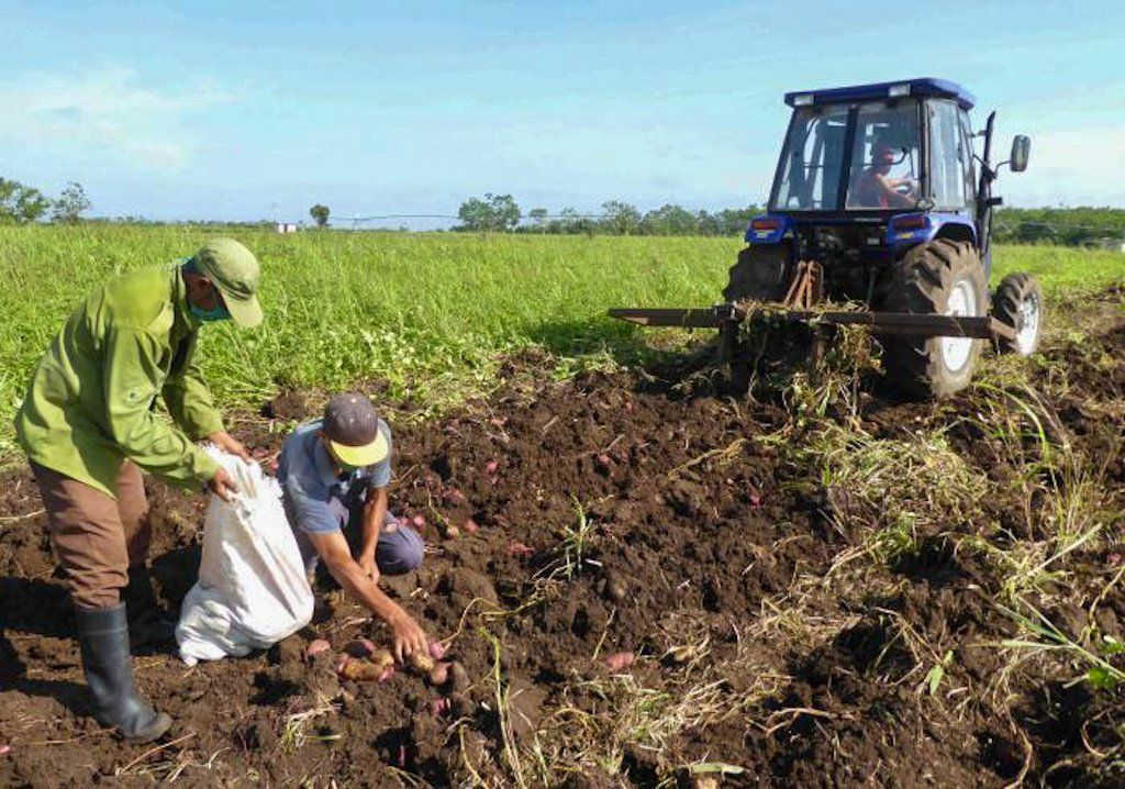 Brazil will send food and inputs for agricultural production to Cuba