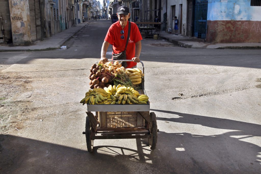 FAO warns of the “serious” effect of Cuba's fuel crisis on agriculture