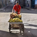 FAO warns of the “serious” effect of Cuba's fuel crisis on agriculture