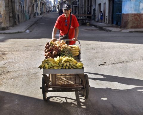FAO warns of the “serious” effect of Cuba's fuel crisis on agriculture
