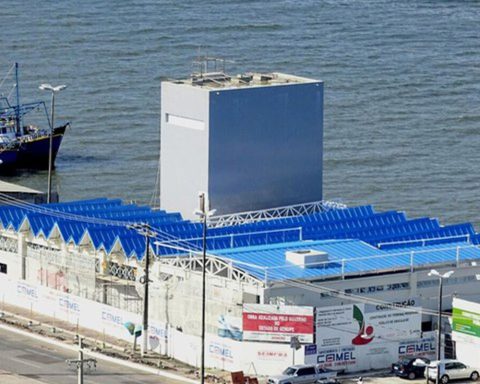 Federal government auctions fishing terminals in Aracaju and Cananéia