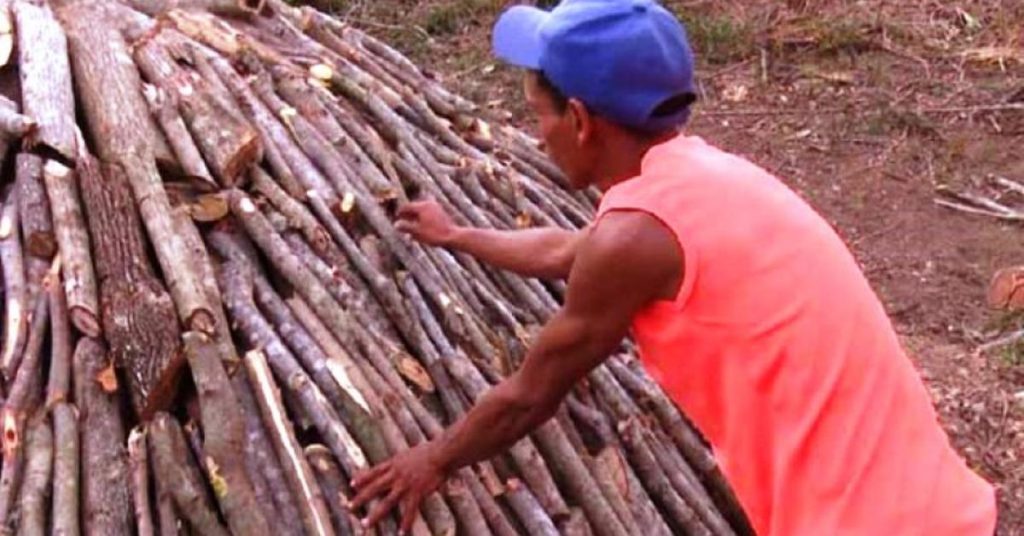 In Santiago de Cuba they want to reactivate the coal industry with the trees fallen by Hurricane Melissa