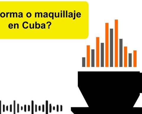 Informative coffee for Tuesday, March 3, 2026