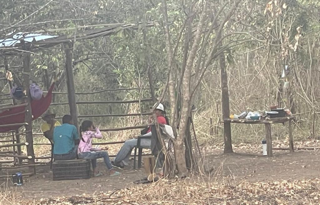 Rural communities of San Juan Bautista del Pao denounce irregular camps and ask for action from the authorities