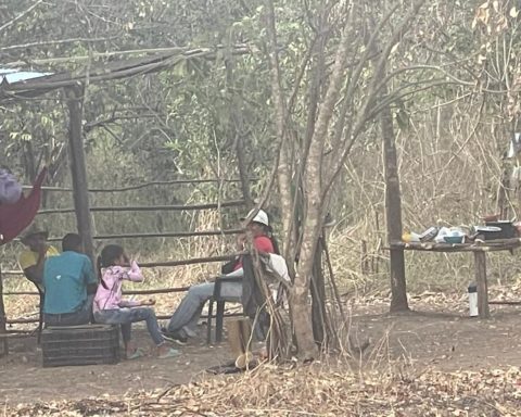 Rural communities of San Juan Bautista del Pao denounce irregular camps and ask for action from the authorities