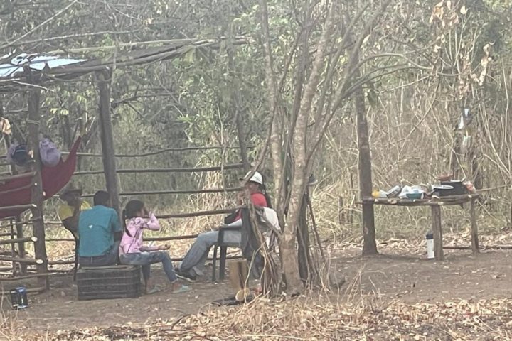 Rural communities of San Juan Bautista del Pao denounce irregular camps and ask for action from the authorities