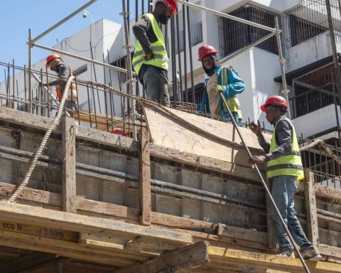 Sectors of the economy with diverse behavior in January