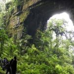 Cueva de los Guacharos