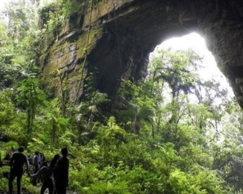 Cueva de los Guacharos