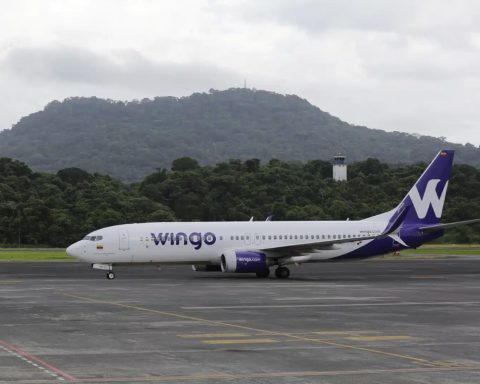 Wingo activated its direct flights between Medellín and Caracas