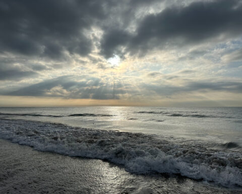 Hurricane Polo downgraded to category 4 off Mexico's coast